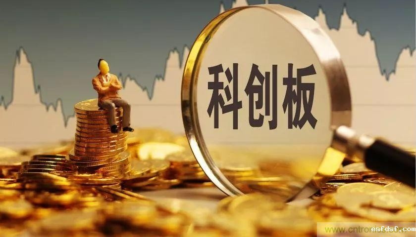 894.49亿元,占全国13.7%!张江“芯”实力爆表!